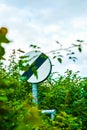 National Speed Limit Sign, overgrown with brambles UK Royalty Free Stock Photo
