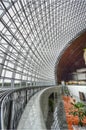 National Theater - Beijing Royalty Free Stock Photo