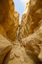 National Timna Park, located 25 km north of Eilat, Israel. Royalty Free Stock Photo