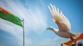 The National Tricolor Flag of India is waving against a blue sky. Banner for Indian Independence Day national holiday Royalty Free Stock Photo