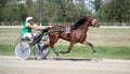 National trotting derby in Ploiesti - third place Royalty Free Stock Photo