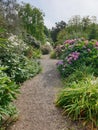 National Trust House and Gardens at Rowallane. Flowers in the walled garden. Royalty Free Stock Photo