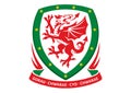 National Welsh Football Logo