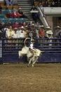 National Western Stock Show - Mexican Rodeo Royalty Free Stock Photo