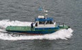 Nativa pilot boat in Beagle Channel, Tierra del Fuego, Argentina