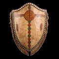 Native american bison hide shield with geometric decoration isolated on transparent background Royalty Free Stock Photo