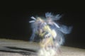 Native American Dancer in motion