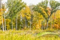 Native American Effigy Mound in Fall