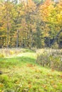 Native American Effigy Mound in Fall