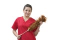 Native American house cleaner holding feather duster over white background Royalty Free Stock Photo