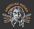 Native american indian head. Royalty Free Stock Photo