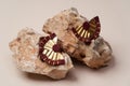 Native american jewelry. Old Vintage Navajo earrings Royalty Free Stock Photo