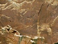 Native American petroglyphs Royalty Free Stock Photo