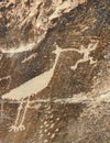 Native american petroglyphs Royalty Free Stock Photo