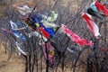 Native American Prayer Cloth Tied To Trees at Bear Butte