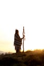 Native american woman shaman with pikestaff on background of su