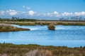 Native Australian coastal wetlands landscape. Royalty Free Stock Photo