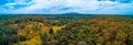 Native Australian forest with mountain in the background. Royalty Free Stock Photo