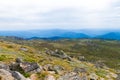 Native Australian vegetation in Kosciuszko National Park, NSW, Australia. Royalty Free Stock Photo