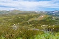 Native Australian vegetation in Kosciuszko National Park, NSW, Australia. Royalty Free Stock Photo