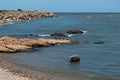 Native birds on the rocks in the sea in Montevideo, Uruguay