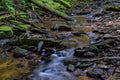 Native Brook Trout Stream. Royalty Free Stock Photo