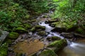 Native Brook Trout Stream. Royalty Free Stock Photo