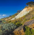 Native bush and erosion of Olivers Hill cliffs.