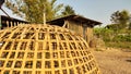 Native chicken coop in thailand, Fighting cock Royalty Free Stock Photo