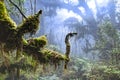 Native Cypress Forest in Taiwan