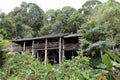 Native Dayak House Borneo Royalty Free Stock Photo