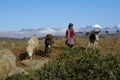 Native female farmer with donkeys, Peru