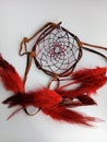 Native handmade dreamcatcher made from a willow branch in Canada on a white background