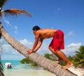 Native indian climbing coconut palm tree trunk Royalty Free Stock Photo