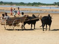 Native Malagasy people