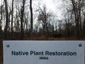 native plant restoration sign with trees in woods