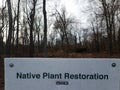 native plant restoration sign with trees in woods