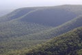 Native remnant vegetation at Grampians National Park Australia