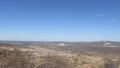 Caatinga biome: dry forest trees Petrolina, Pernambuco, Brazil