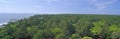 Native trees at Hunter Island