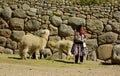 Native Woman from Peru with Lamas