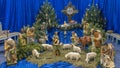 Christmas nativity scene with baby Jesus, Mary and Joseph in the manger with sheeps. Christmas event Royalty Free Stock Photo