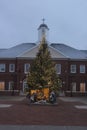 Nativity Scene in Front of a Large Pine Tree with White Lights