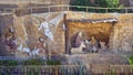 Nativity scene sculpture outside the Virgin Mary and St. Simon the Tanner Cathedral, part of the Monastery of Saint Simon.