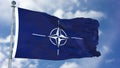 NATO Waving Flag