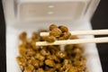 Natto Royalty Free Stock Photo