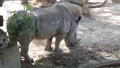 Natura barcellona zoo libero animali