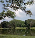 Natura and water