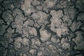 Natural abstract background of dried peat ground. Grey texture of soil with cracks. Climate change, global warming Royalty Free Stock Photo