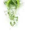 Natural abstract background